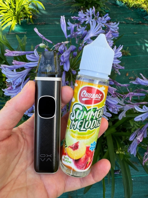 CHUBBIZ - Summer Melodiz 50ML – Image 2